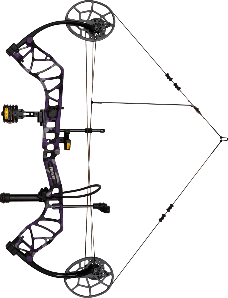 Legit Maxx RTH Compound Bow