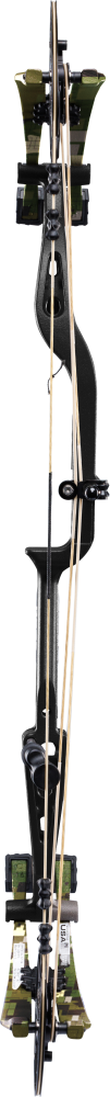 Whitetail INT Compound Bow