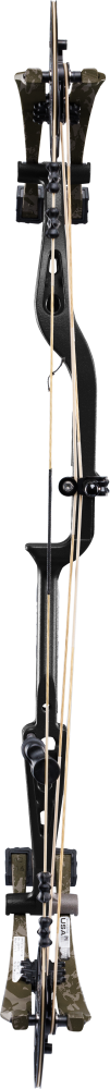 Whitetail INT Compound Bow