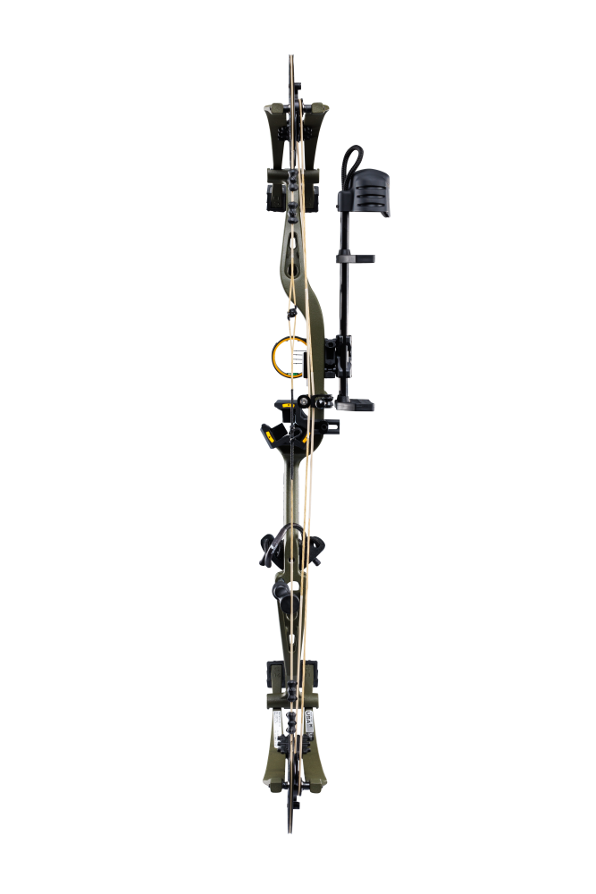 Whitetail INT RTH Compound Bow