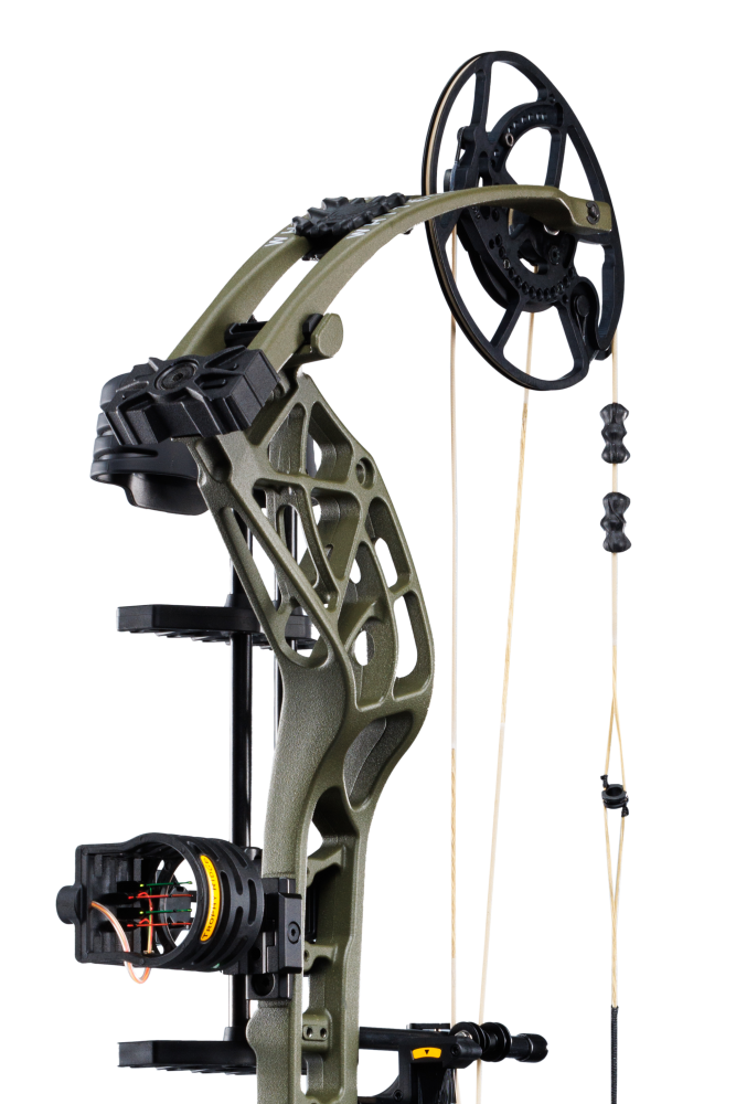 Whitetail INT RTH Compound Bow