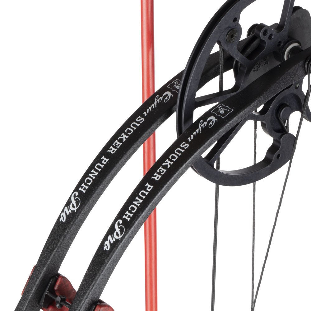 Sucker Punch Pro RTF Bowfishing Bow