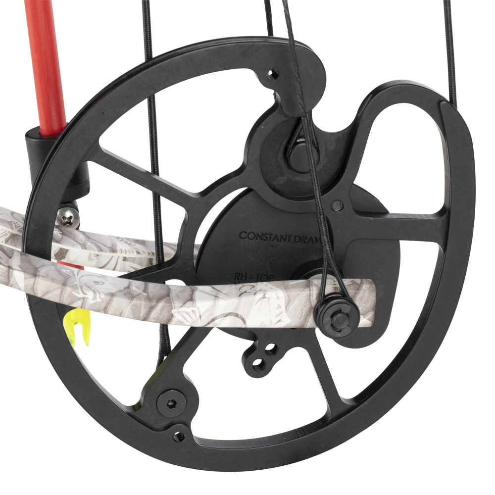 Sucker Punch Pro RTF Bowfishing Bow