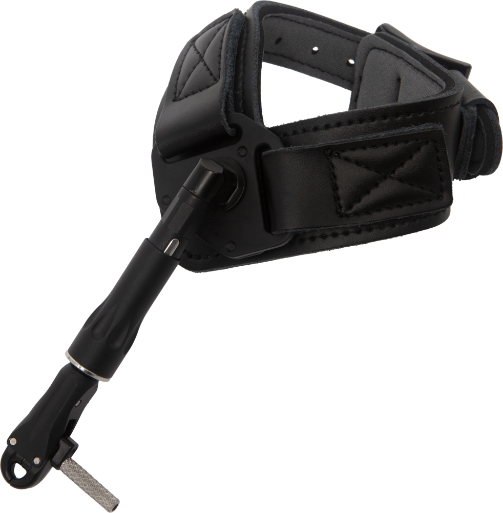 Judge Bow Release