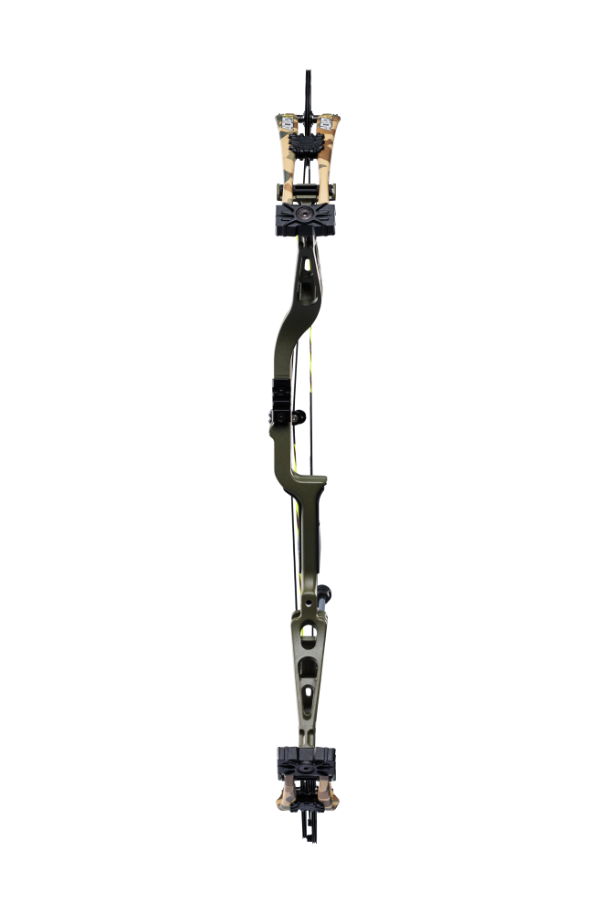 Adapt 2