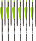 TrueX 20 Inch Crossbow Bolts