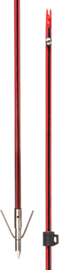 Wasp Arrow with Piranha XT Point