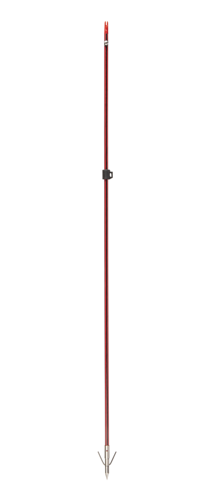 Wasp Arrow with Piranha XT Point