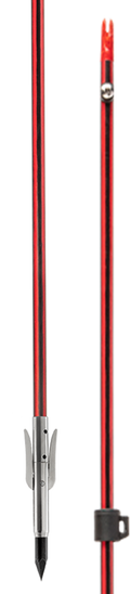 Wasp Arrow with Sting-A-Ree Point