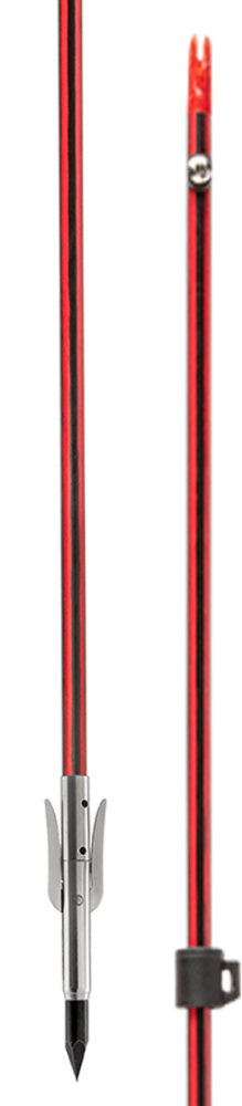Wasp Arrow with Sting-A-Ree Point