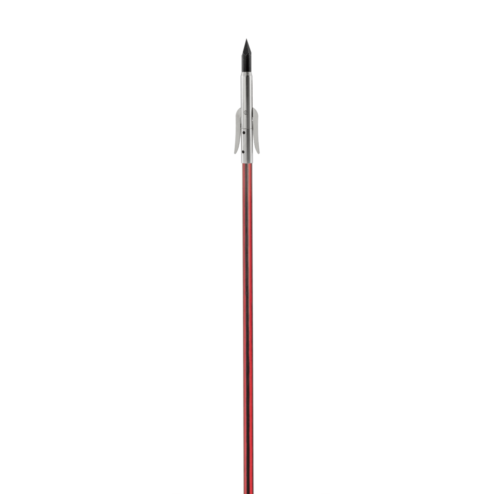 Wasp Arrow with Sting-A-Ree Point