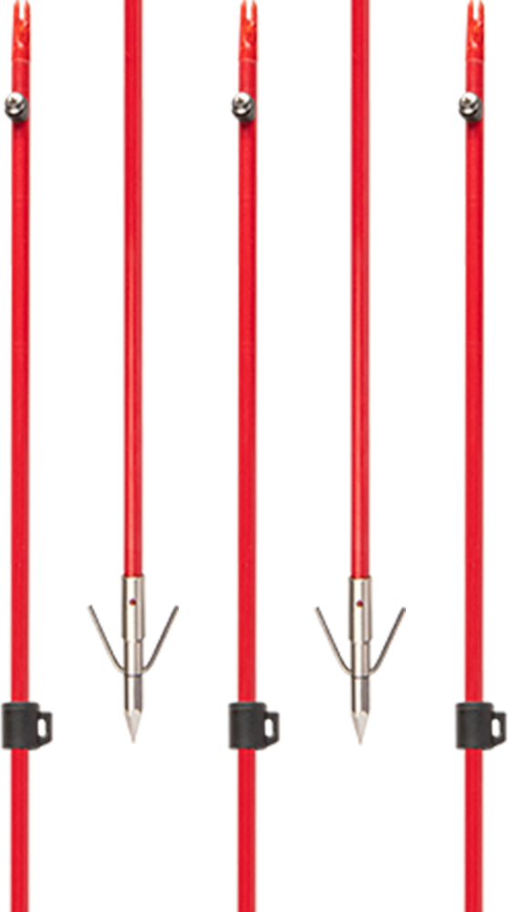 Fiberglass Arrow W/ Piranha Point XT