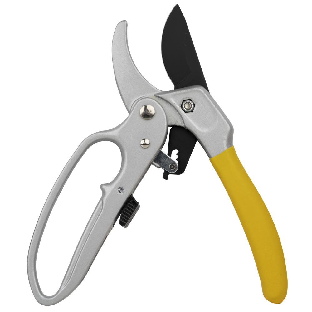 Ratcheting Pruner