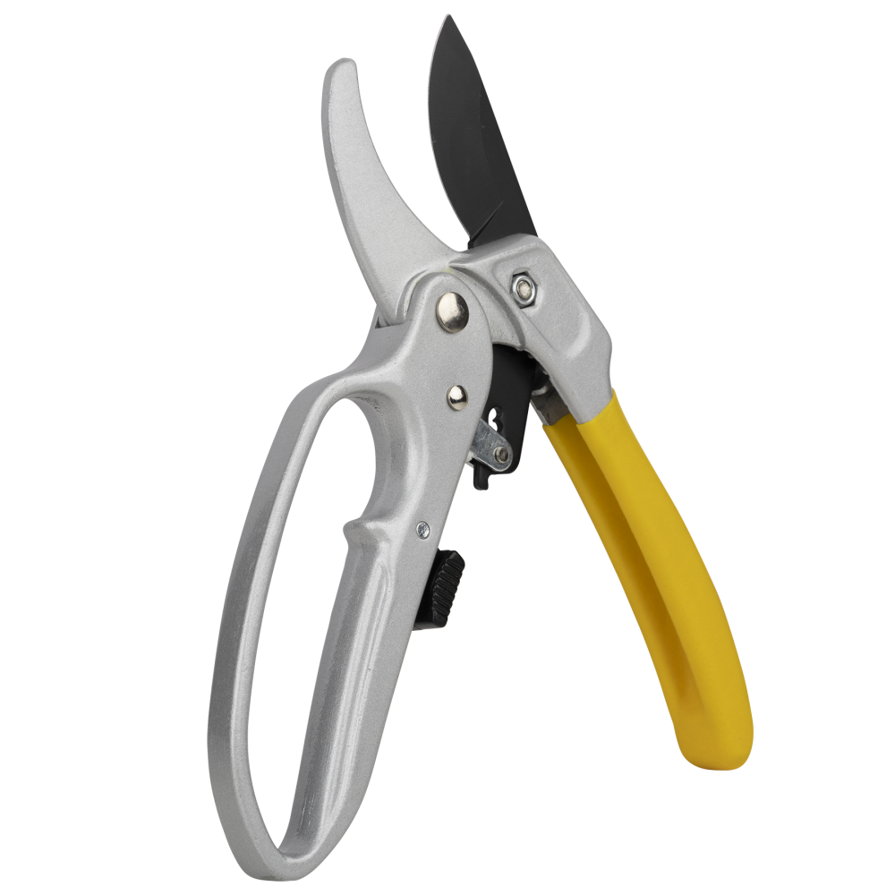 Ratcheting Pruner