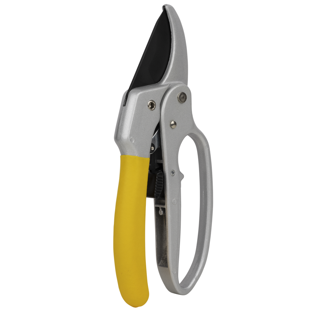 Ratcheting Pruner