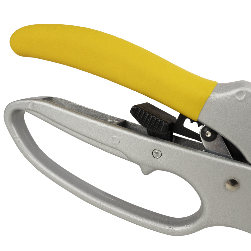 Ratcheting Pruner