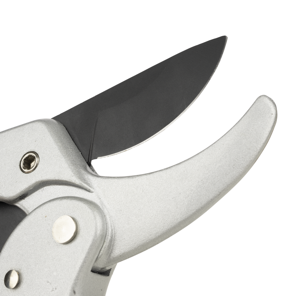 Ratcheting Pruner
