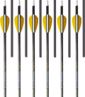 Wrath Arrows